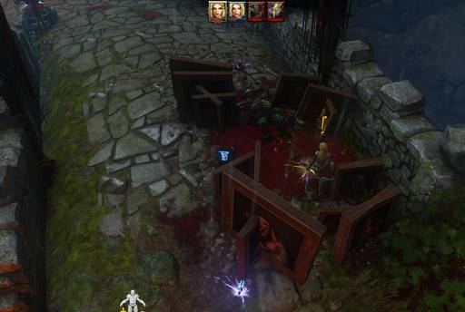 Divinity: Original Sin - Divinity:Original Sin: Две лучницы. (Окончание.)